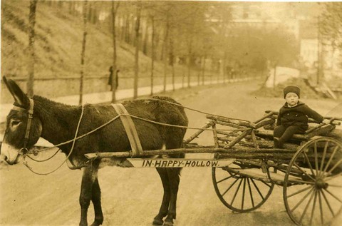 Donkey Cart